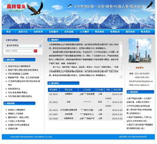 专业铸就卓越 上海网站建设公司成功案例与信息技术咨询价值